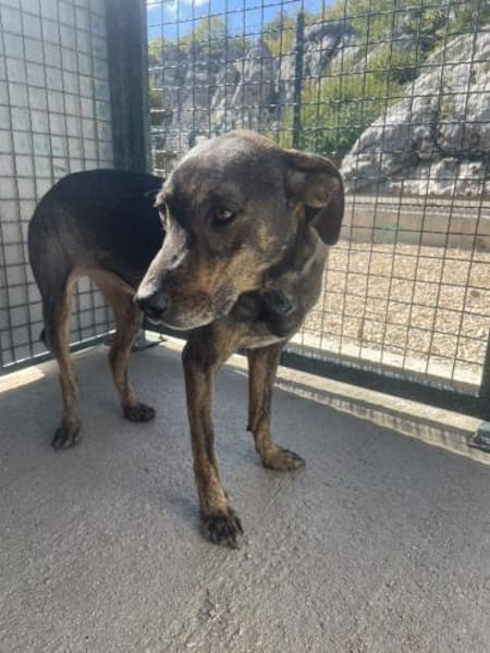 Sanfte Nela-Greta sucht Liebe