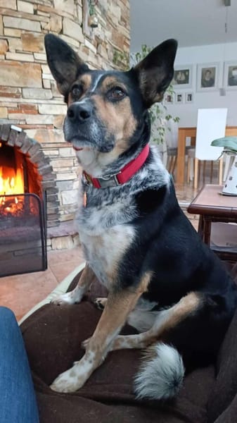 Manolo wartet in München!