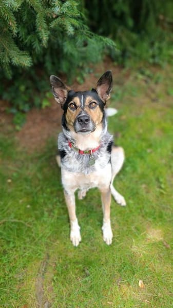 Manolo wartet in München!