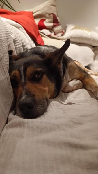 Manolo wartet in München!