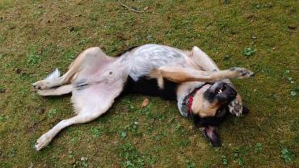 Manolo wartet in München!