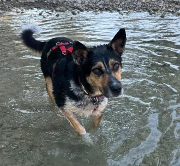 Manolo wartet in München!