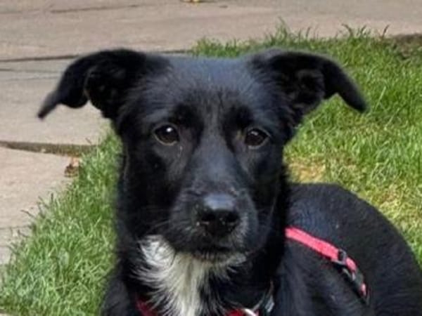 PÜPPI-sanfte Schönheit, 32 cm(w)