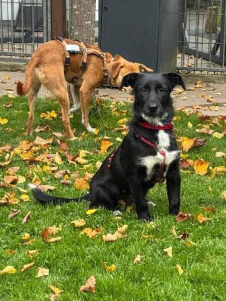 PÜPPI-sanfte Schönheit, 32 cm(w)