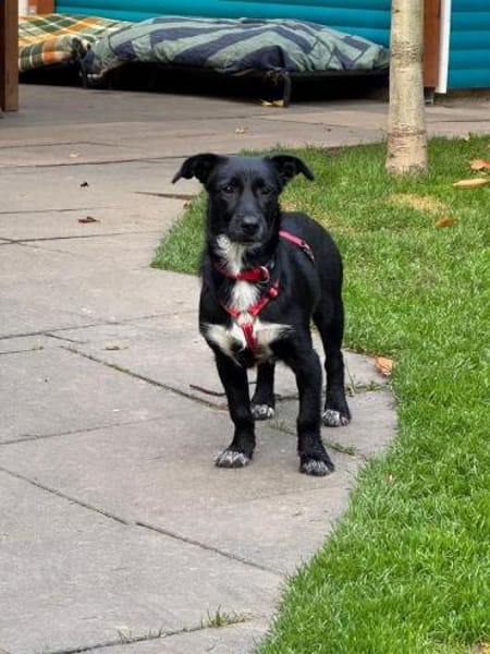 PÜPPI-sanfte Schönheit, 32 cm(w)