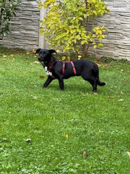 PÜPPI-sanfte Schönheit, 32 cm(w)