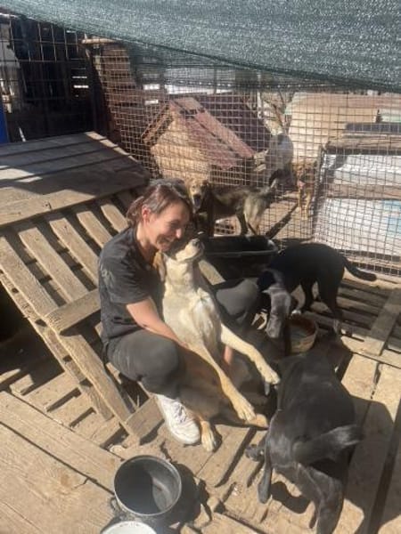 Coco sucht ihre Menschen