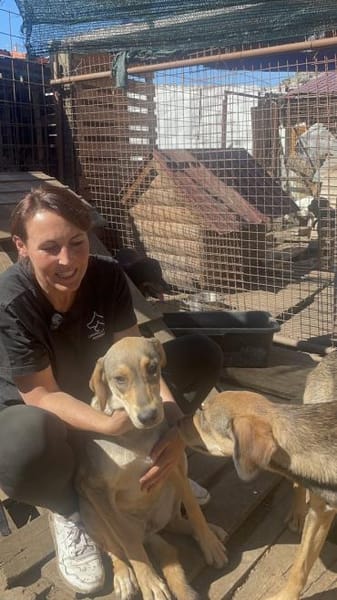 Coco sucht ihre Menschen