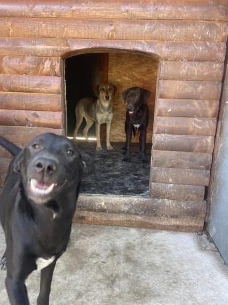 Hayley möchte endlich ankommen