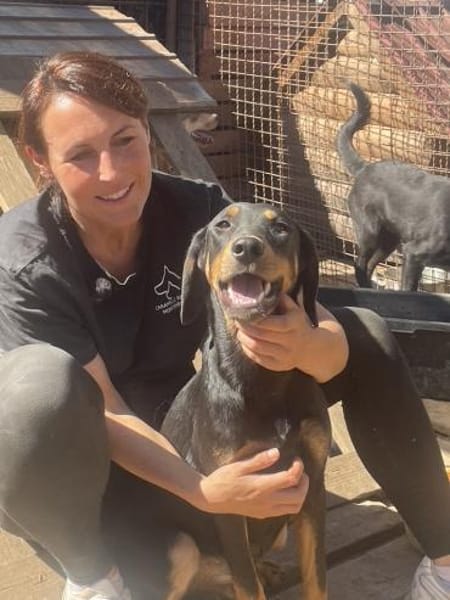 Rocky sucht liebevolles Zuhause