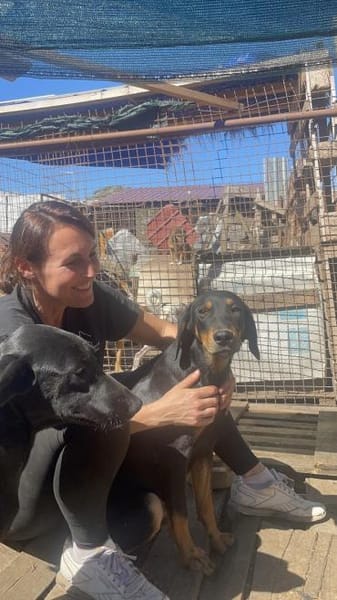 Rocky sucht liebevolles Zuhause