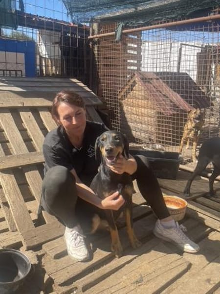 Rocky sucht liebevolles Zuhause