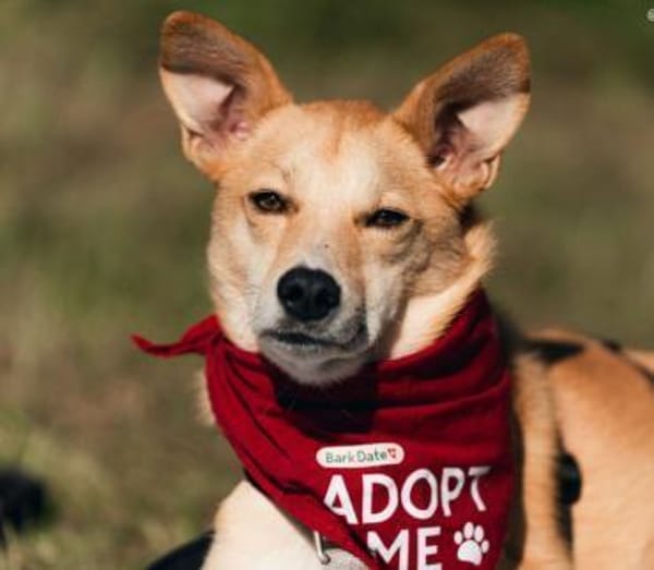 Menschenbezogener, lieber Aurell