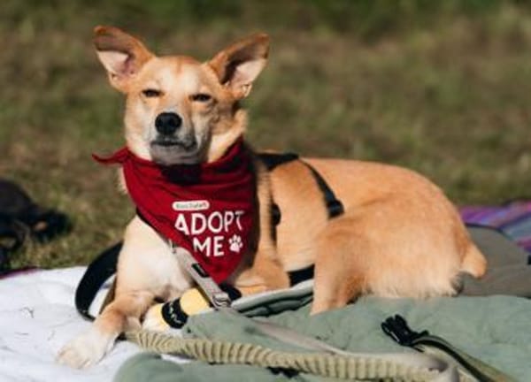 Menschenbezogener, lieber Aurell