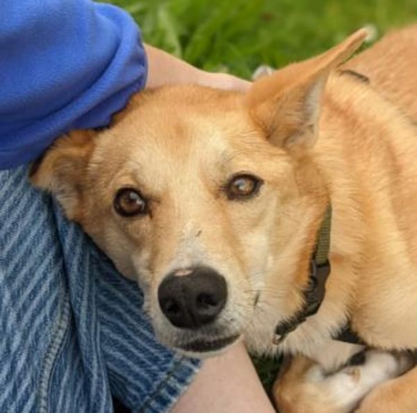 Menschenbezogener, lieber Aurell