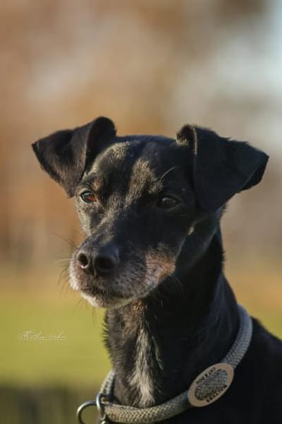 Bodi - topfit und kinderlieb