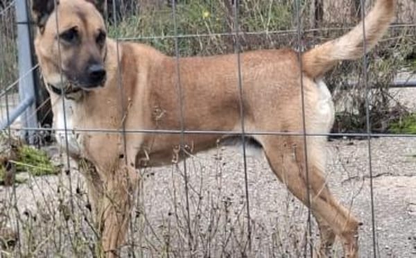 Creo sucht sein Traumzuhause