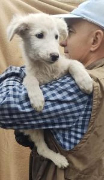 Mioma 34 cm (Nov 25) Pflegestelle