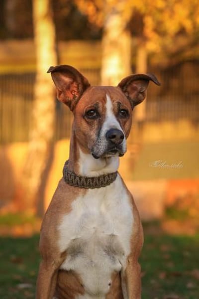 Rina - sportlich und aktiv