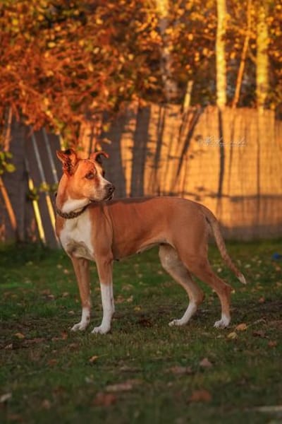 Rina - sportlich und aktiv