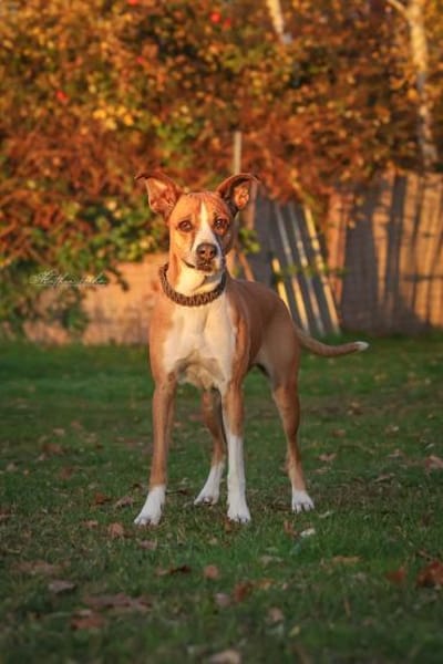 Rina - sportlich und aktiv