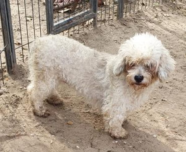 Bailey° in 65195 Wiesbaden