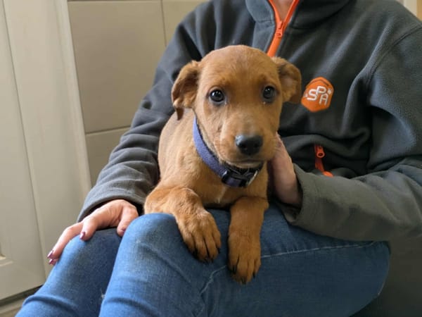 SUMMER QCN (réservé)