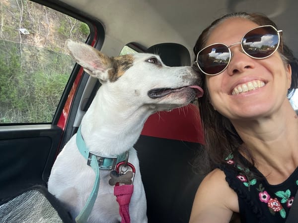 🐾 À L’ADOPTION – FÉFÉ, la complice idéale pour toutes vos aventures ! 🐾