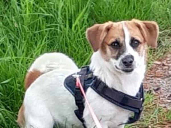 Tolle kleine Mona wartet auf Sie!