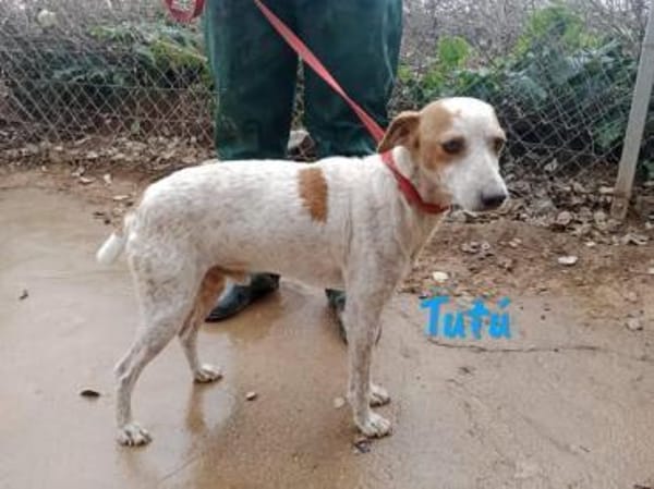 Tutú - souverän und lernwillig