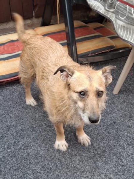 Hettike in 92237 Sulzbach-Rosenberg °