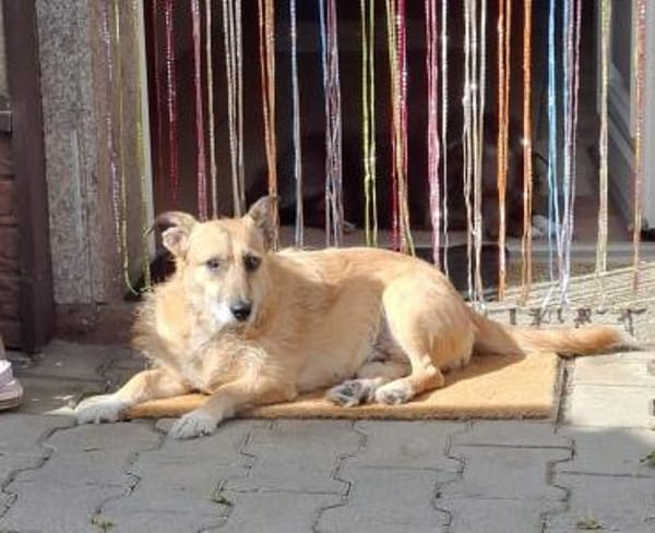 Hettike in 92237 Sulzbach-Rosenberg °