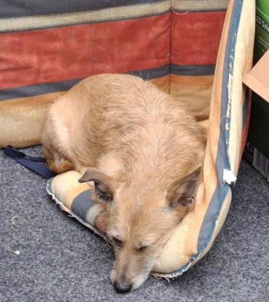 Hettike in 92237 Sulzbach-Rosenberg °