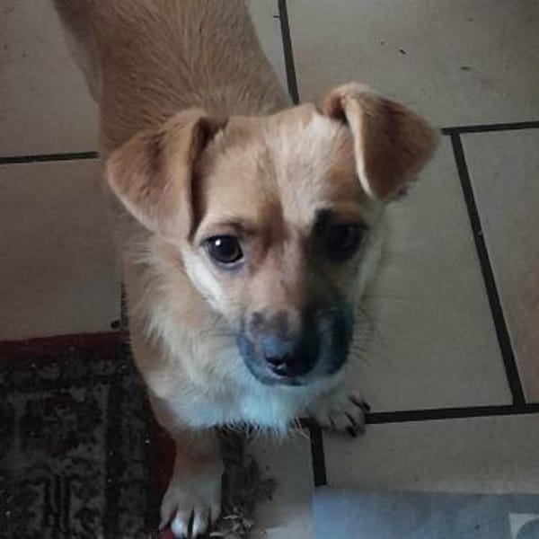 Alice sucht einfühlsame Menschen