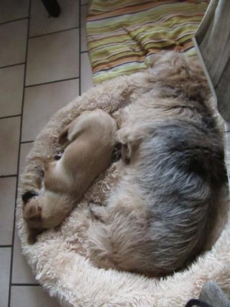 Alice sucht einfühlsame Menschen