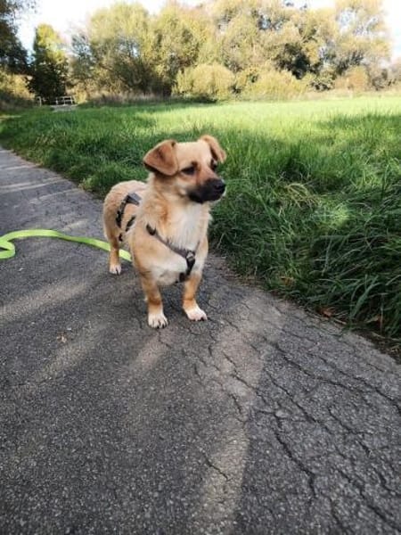 Alice sucht einfühlsame Menschen