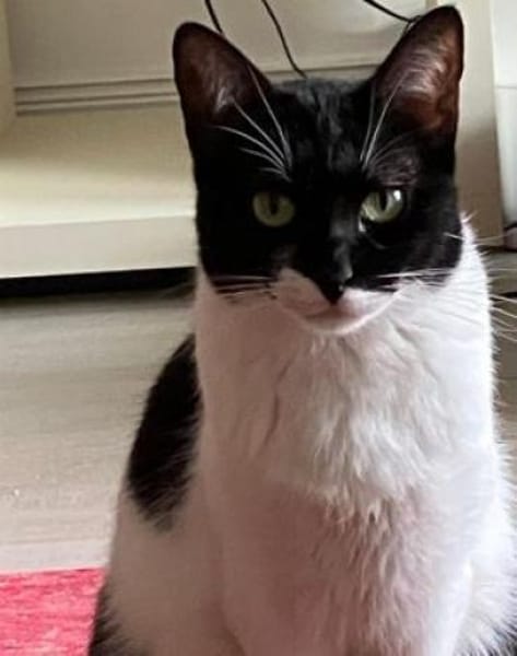 Martina - Das Schicksal will es anders