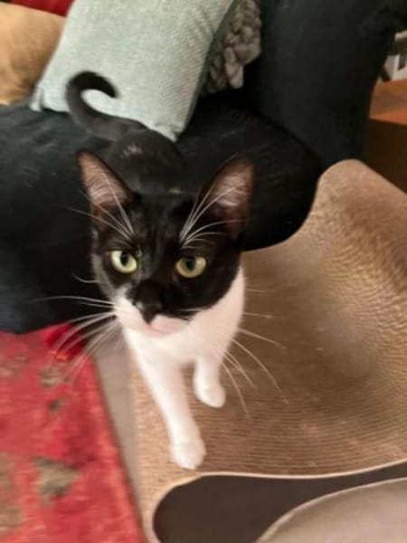 Martina - Das Schicksal will es anders