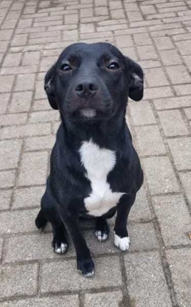 Abby kleine süße Maus 💕