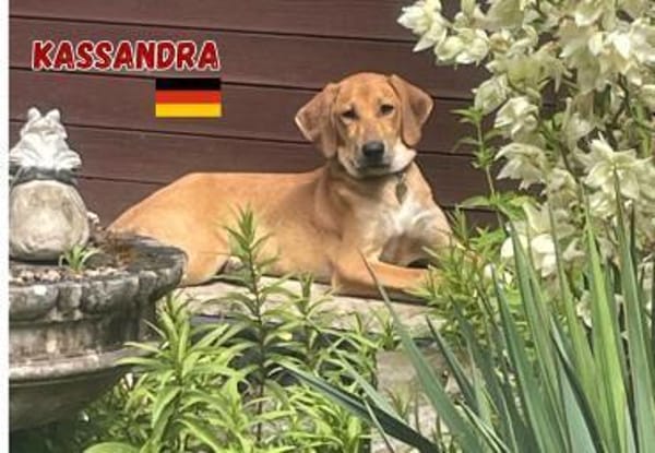 Kassandra - freundlich und sportlich