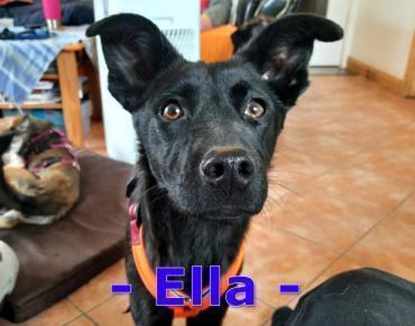 Ella, so eine süße Maus