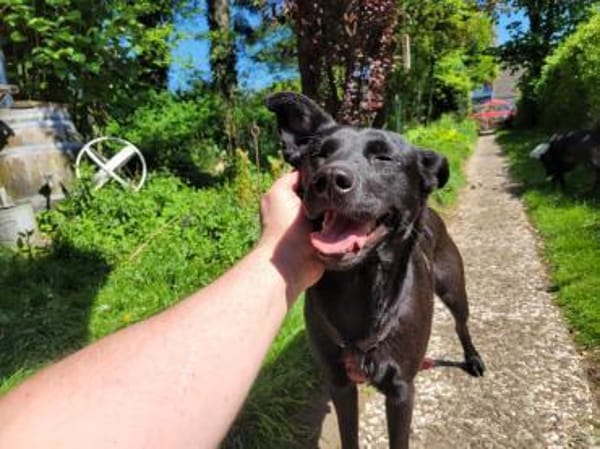 Ella, so eine süße Maus