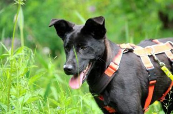 Ella, so eine süße Maus