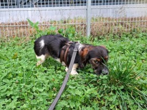 Kleinbleibende Keyla sucht ihre Chance?