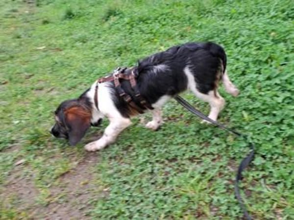 Kleinbleibende Keyla sucht ihre Chance?