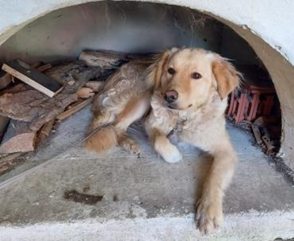 GINA 🧡🧡🧡 sucht Familienanschluss