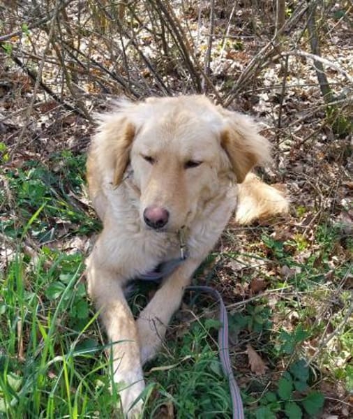 GINA 🧡🧡🧡 sucht Familienanschluss