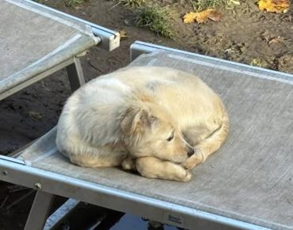 SAMSON sucht seine Menschen