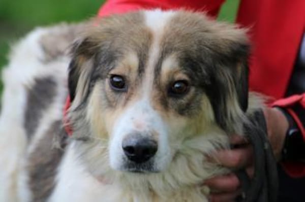 Niti - liebenswert u. angenehm