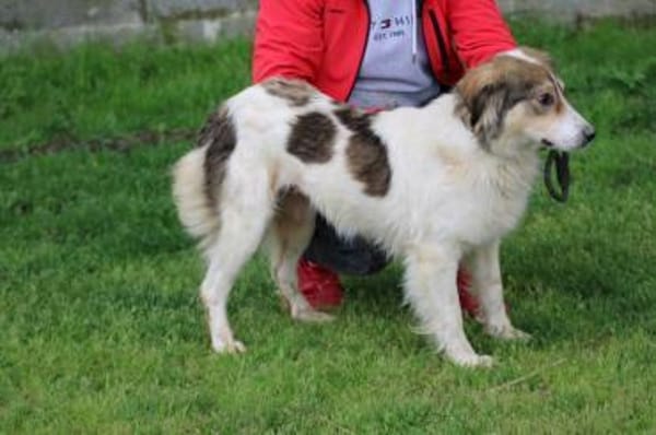 Niti - liebenswert u. angenehm